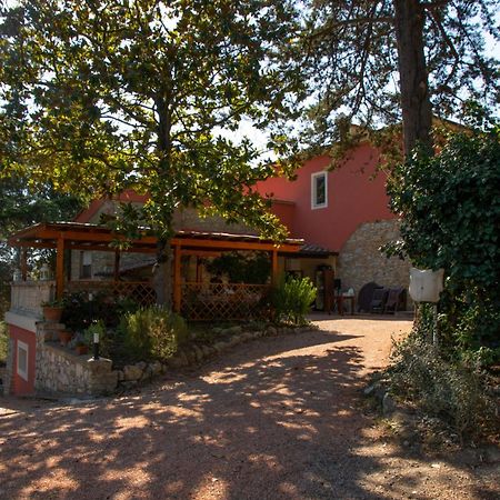Agriturismo Terre Della Rinascita Castelnuovo della Misericordia Экстерьер фото