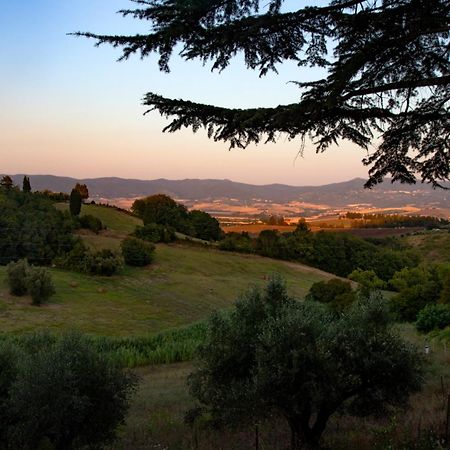Agriturismo Terre Della Rinascita Castelnuovo della Misericordia Экстерьер фото