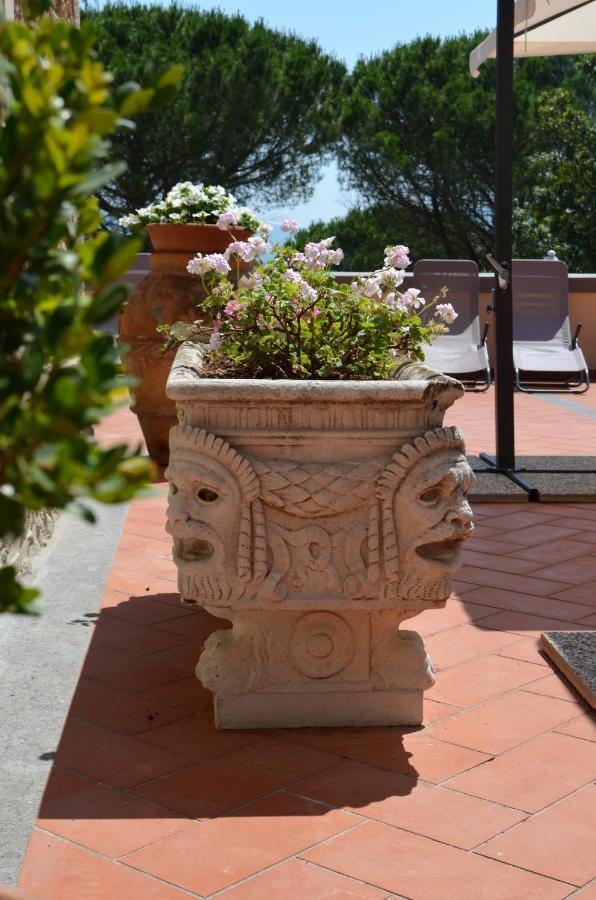Agriturismo Terre Della Rinascita Castelnuovo della Misericordia Экстерьер фото