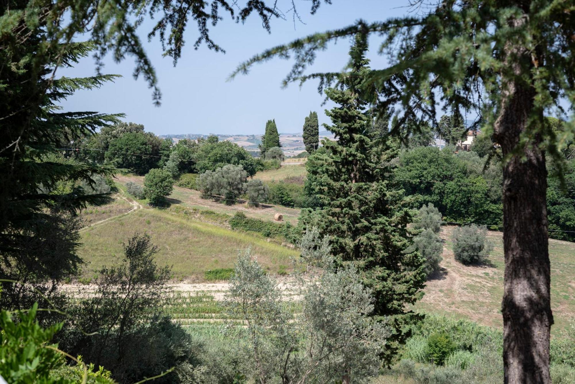 Agriturismo Terre Della Rinascita Castelnuovo della Misericordia Экстерьер фото