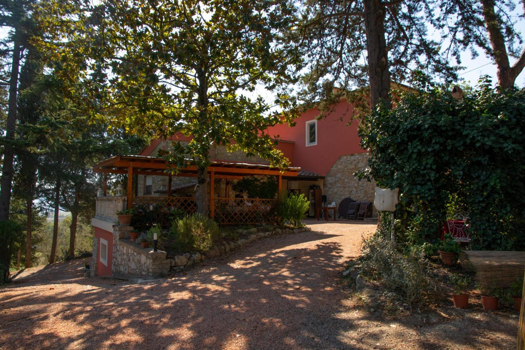 Agriturismo Terre Della Rinascita Castelnuovo della Misericordia Экстерьер фото