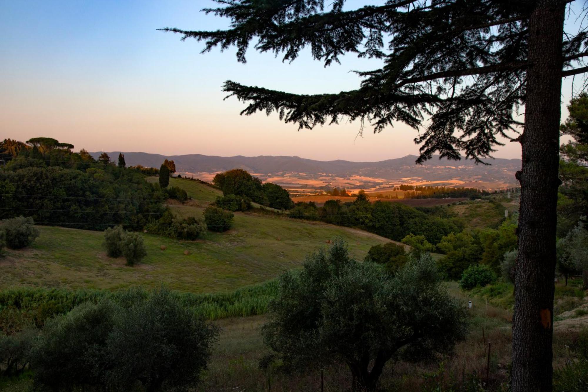 Agriturismo Terre Della Rinascita Castelnuovo della Misericordia Экстерьер фото