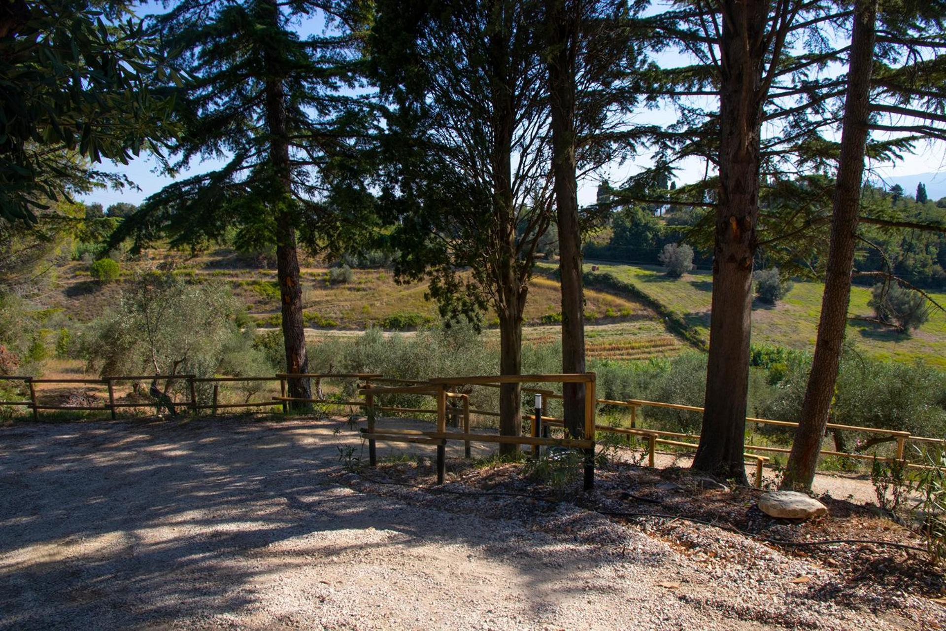 Agriturismo Terre Della Rinascita Castelnuovo della Misericordia Экстерьер фото
